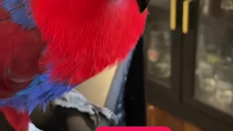 🤣🍎 Apple Surprise! You Won't Believe This! | FunFM