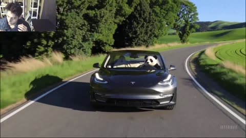 Outtake #1,201 Of The Panda Bear Drives A Tesla Model 3 Car On The Roadway Fake Funny Parody Video