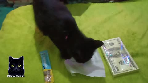 What do you choose Blacky?