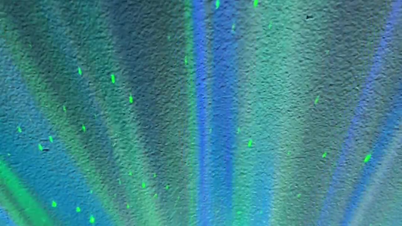 ✨The Low Tech Playlist 💿💫