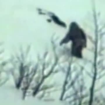 Yeti Spotted Walking Up Mountain