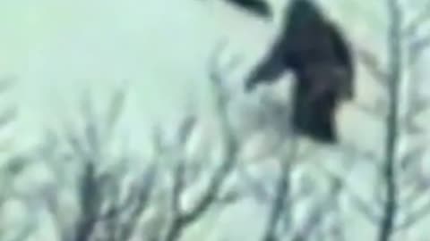Yeti Spotted Walking Up Mountain