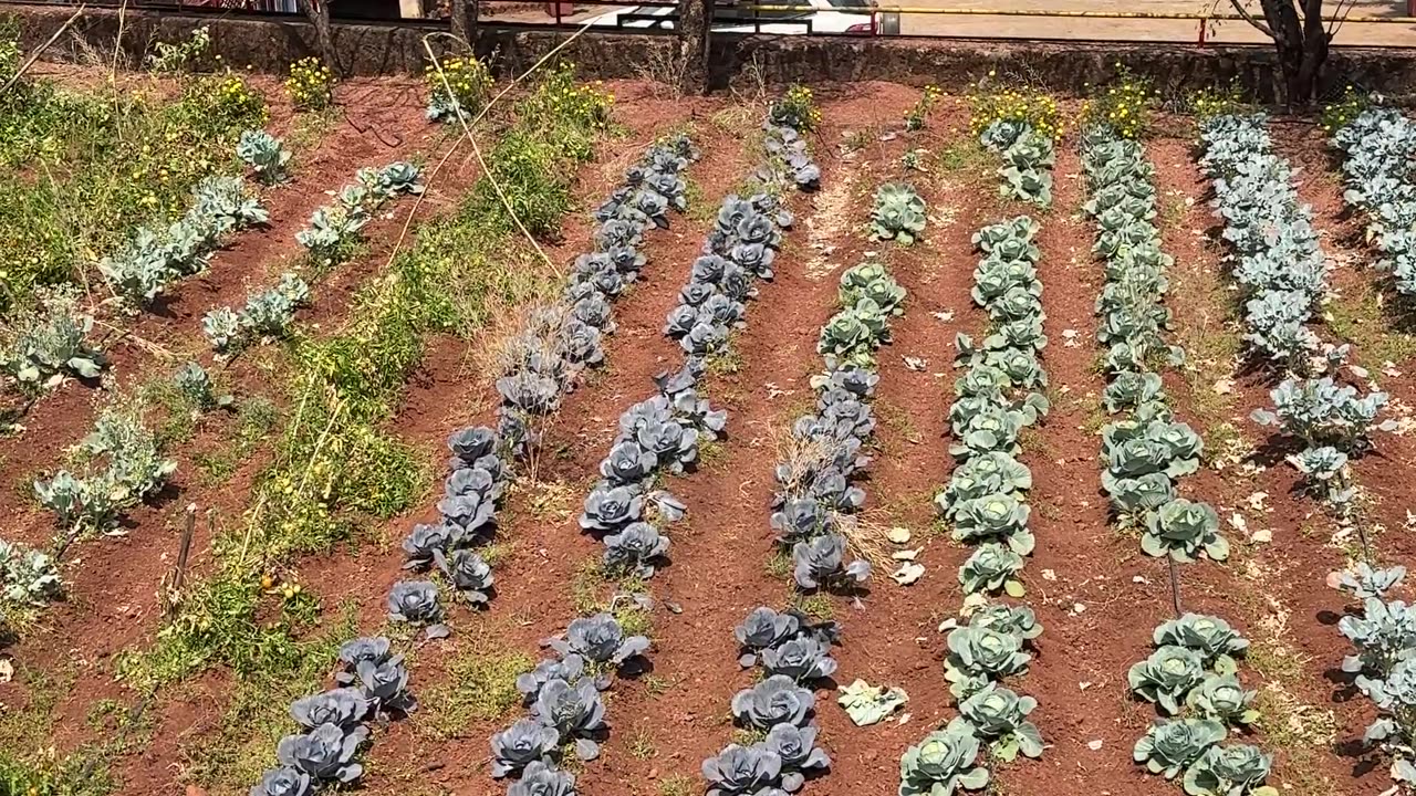 farm stay in Mahabaleshwar
