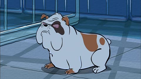 Ain’t Nothin’ But a Pound Dog ( English Audio Caption)