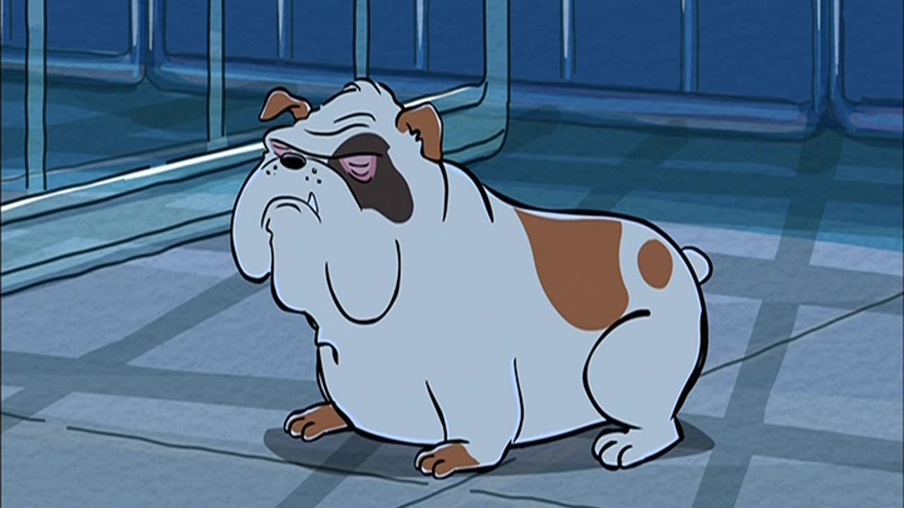 Ain’t Nothin’ But a Pound Dog ( English Audio Caption)