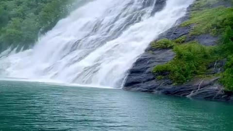 nature