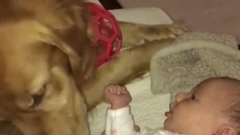 Fun Animals