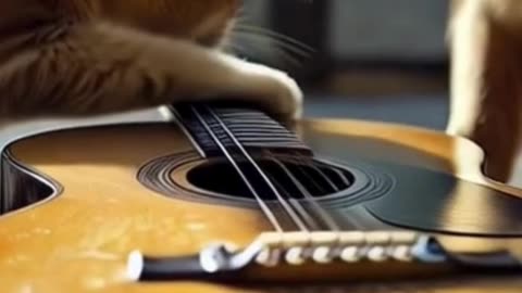 Dogs and cats respond differently to music.