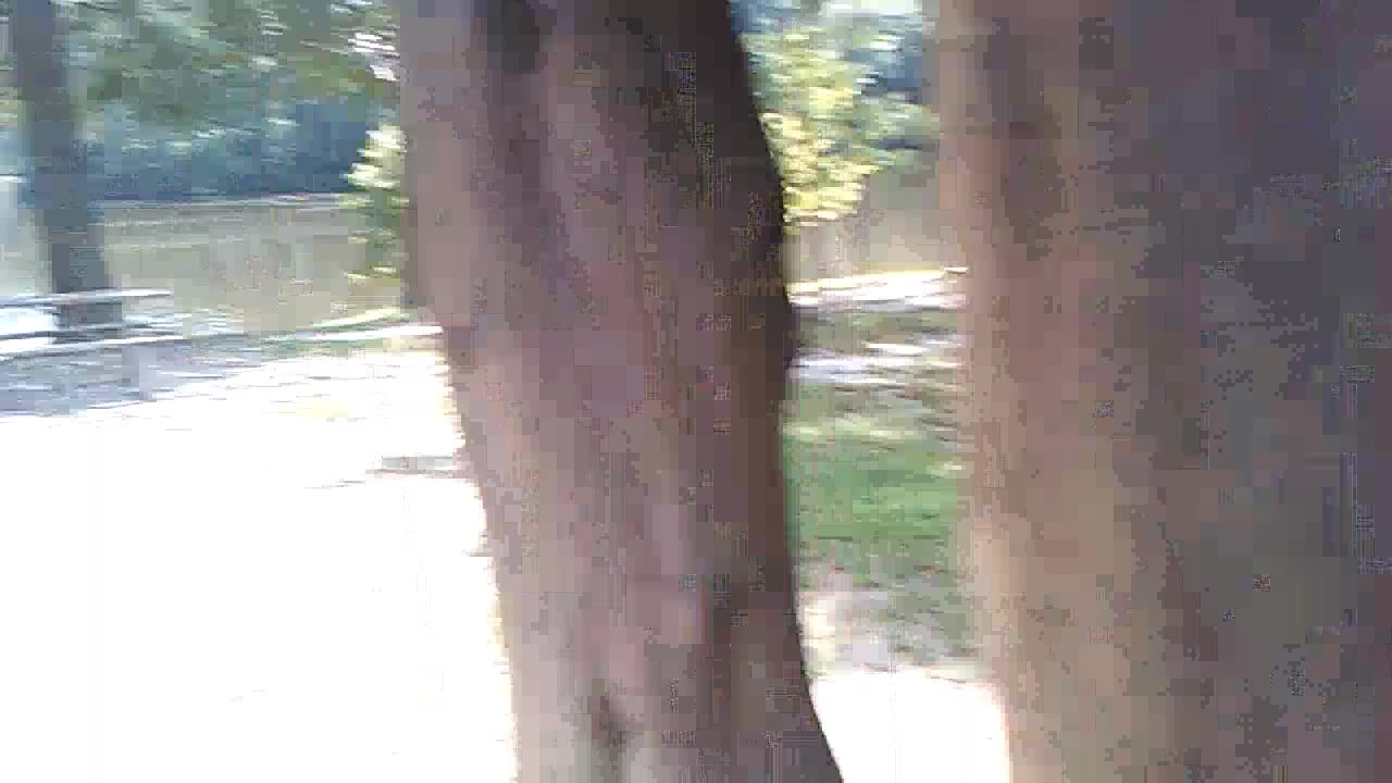 Some Cumberland Va Footage