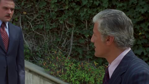 The.Don.Is.Dead.1973 BluRay film