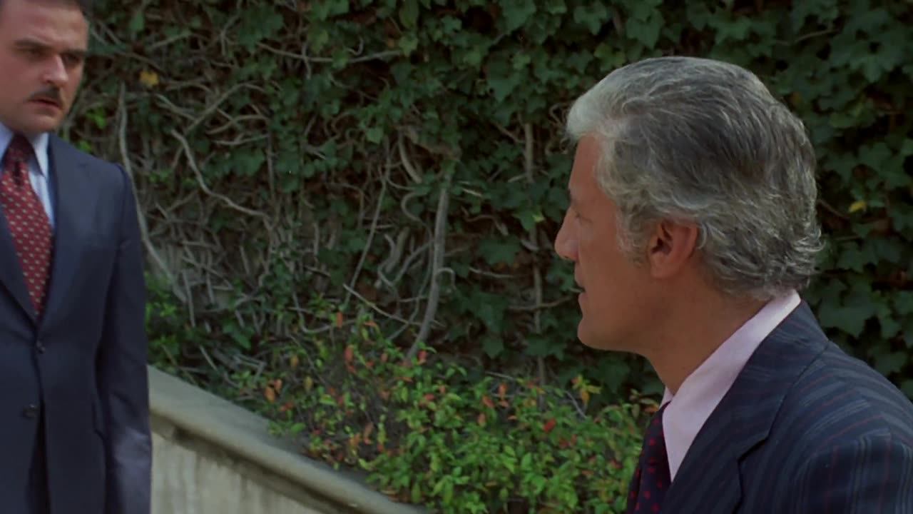 The.Don.Is.Dead.1973 BluRay film