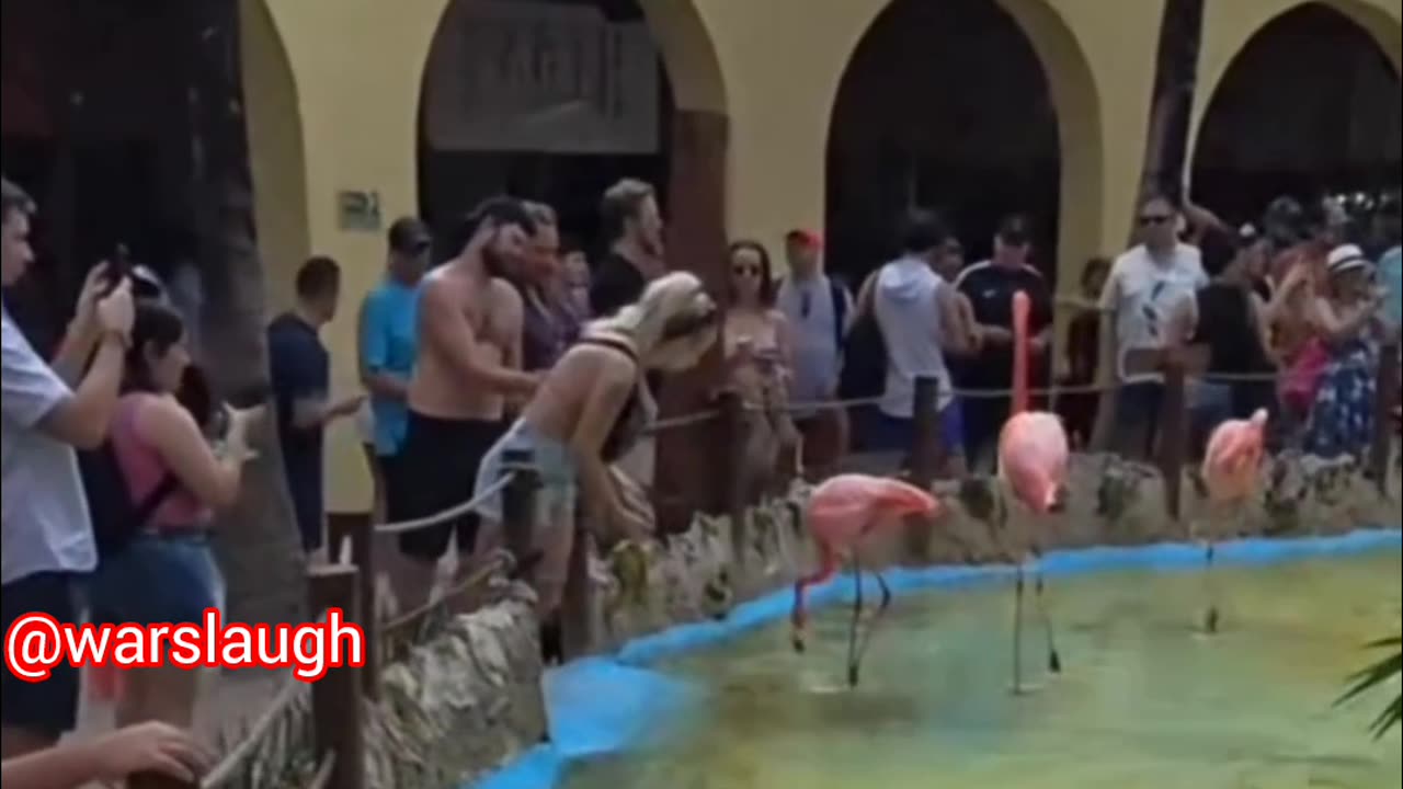 Try Not To Laugh 2025 | Funniest Fails Compilation | Laugh Till You Drop 🤪 Part - 2