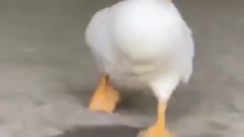 Just Wanna Say Hello