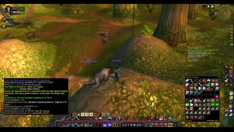 Turtle wow - Melee HC Slow and Steady Hunter - Part 130 - No commentary