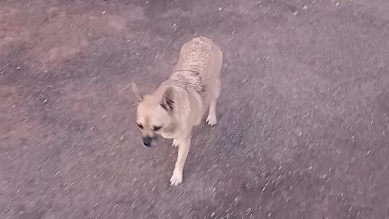 A, new moon, and here when the bats appear