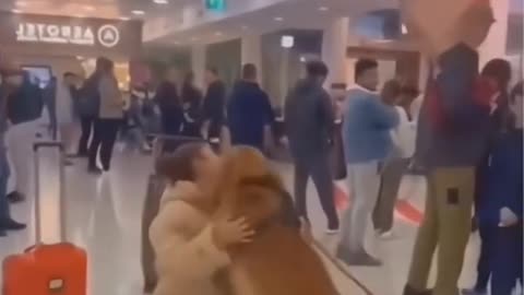 Dog lovers
