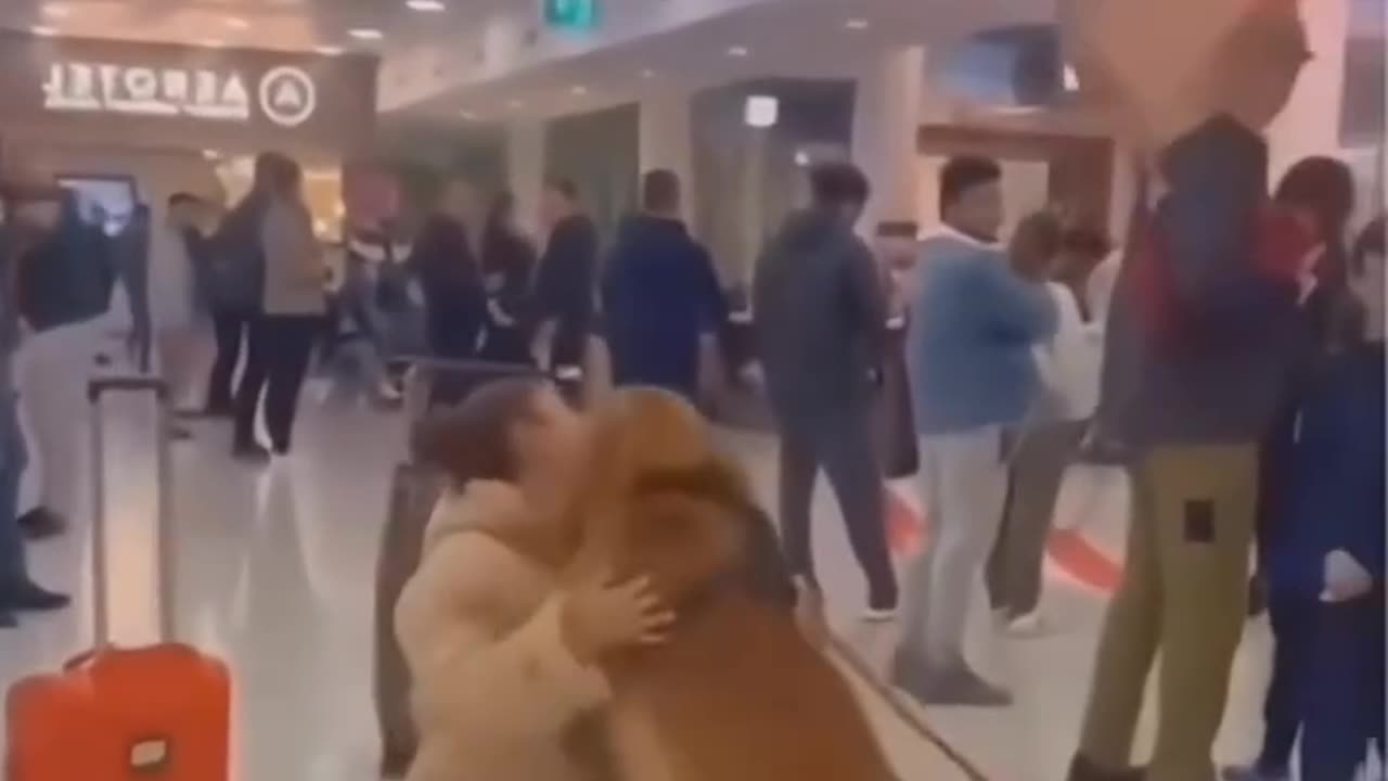 Dog lovers