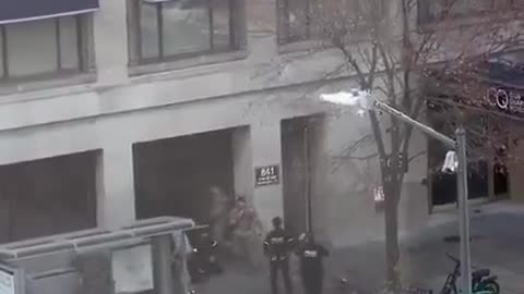 Plagosi dy anëtarë të Gardës Kombëtare pranë Shtëpisë së Bardhë, pamje nga arrestimi i autorit