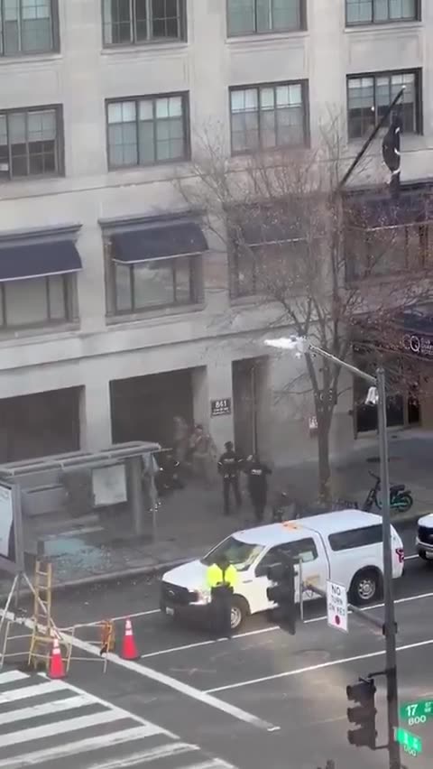 Plagosi dy anëtarë të Gardës Kombëtare pranë Shtëpisë së Bardhë, pamje nga arrestimi i autorit