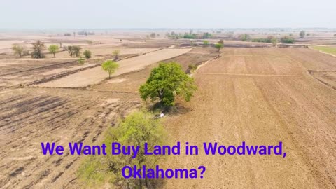 Smith & Co Auction & Realty, Inc. - Affordable Opportunities To Buy Land in Woodward, OK