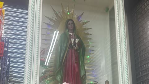 “La Superior” Mexican GroceryStore: MotherMary, Virgin de Guadalupe Statue💙🌹🌟Standing on evil devil👿w/Horns, Symbol of Creation God’s Benevolent Love Power over evil darkness & Her Work to STAMP OUT EVIL🙏