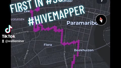 Hivemapper Suriname