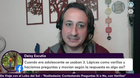 Live despierta