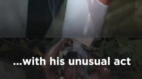 Divorce with wife.. See husband's celebrations!