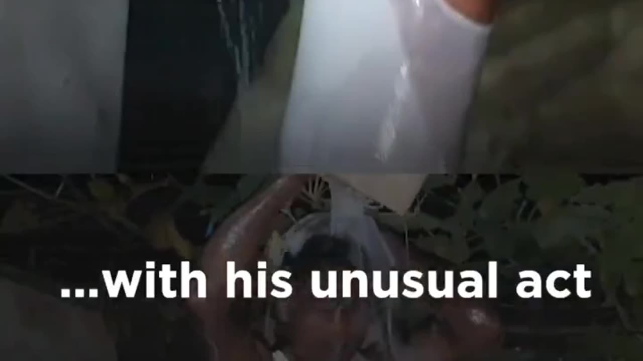 Divorce with wife.. See husband's celebrations!