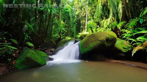 Soothing Ocean sound in the Forest – Relaxing Nature Sounds with Birds Singing 🌊🌿🐦✨