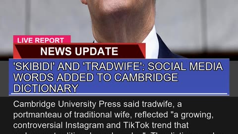 Skibidi and Tradwife Social Media Words Added
