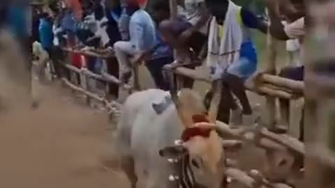 😂🤔 You Won't Believe Why They Need Him! | FunFM