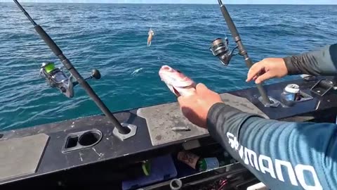 INSANE Fishing Adventure Gone Wild Catch of a Lifetime (5)