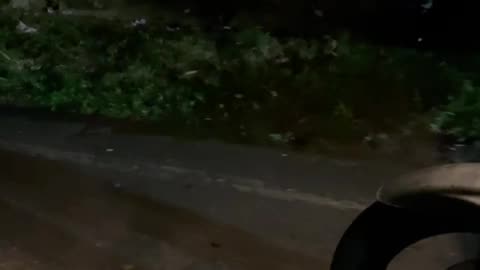 Santiago Chaparro lucha por su vida después de un accidente