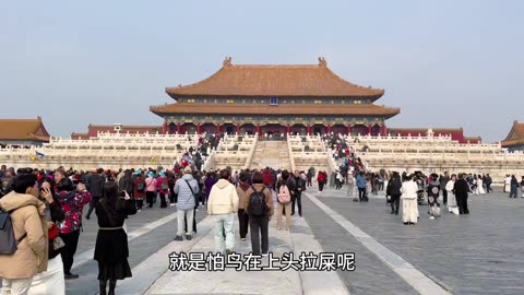 故宫一日游故宫旅游攻略 #故宫 #故宫一日游 #故宫打卡 #历史古迹 #古建筑之美