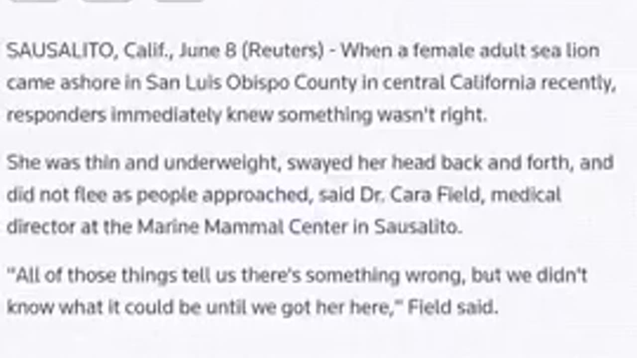 25,000 BARRELS OF “FOREVER POISON” FOUND LEAKING INTO CALIFORNIA’S OCEAN