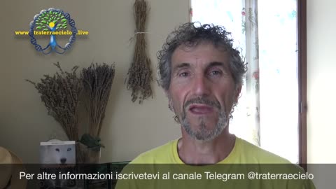 Calma piatta