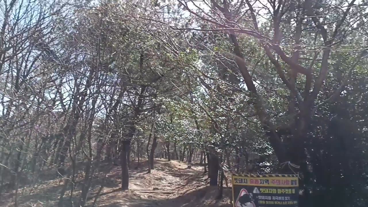 Korea Trip 2025 - March 30