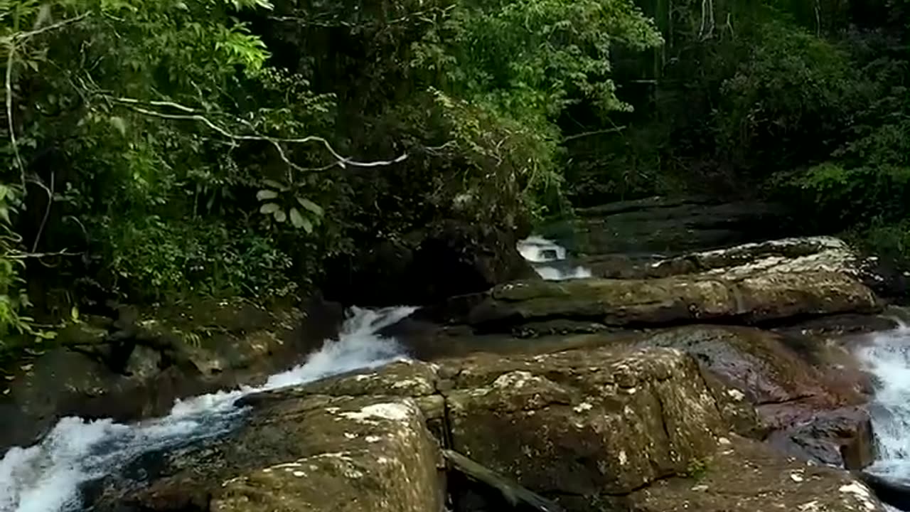 Sri Lanka - Nature & Wildlife