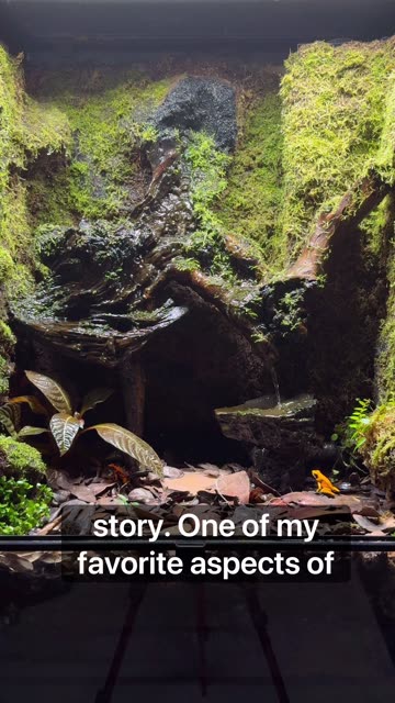 My Dogs Are Way More Excited Than Me!