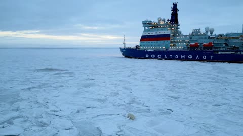 The guardian of the arctic marine traffic