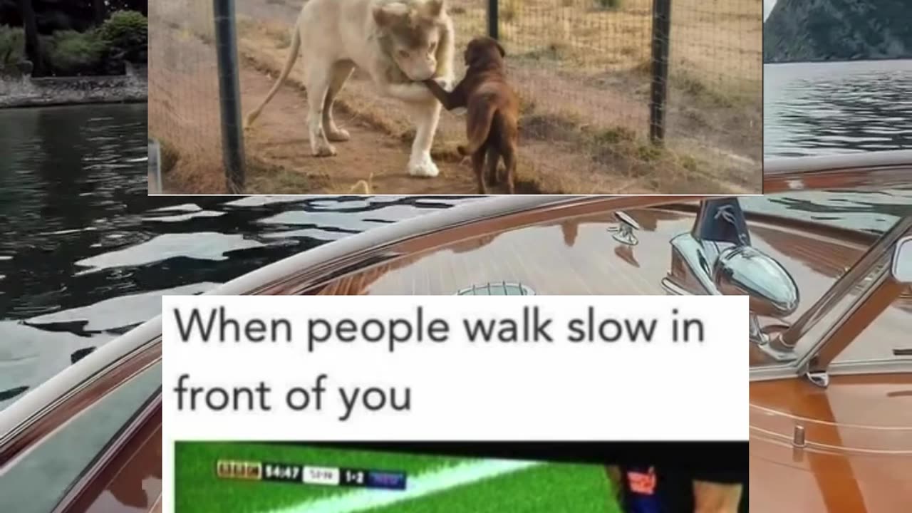 Memes of the day | funny memes | #funny