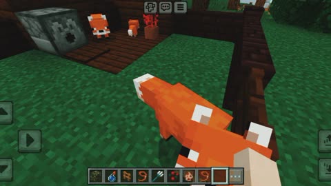 How to breed Fox in Minecraft