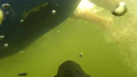 I scare people underwater 😅