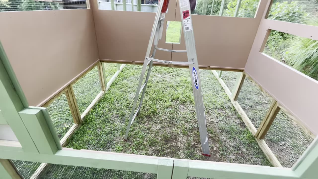 Problems with the new coop
