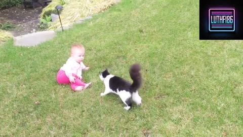 Cats' friendship with babies