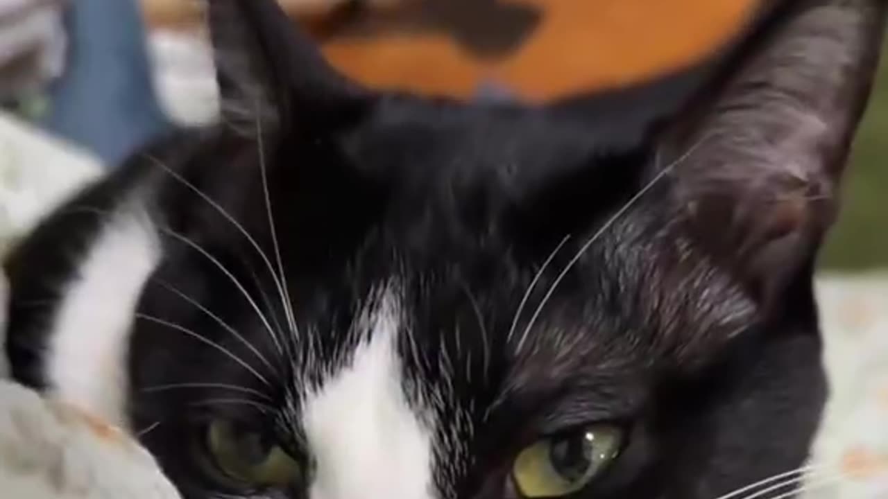 the eye contact though 😭😭