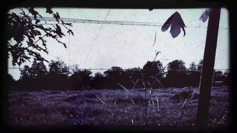 Zombie Radio - Trapped and Alone in the Apocalypse