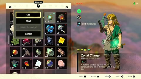 Zelda TOTK ONE LIFE #14