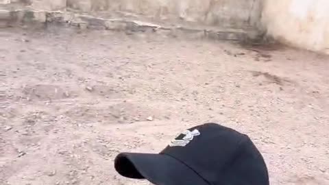 العنوووود